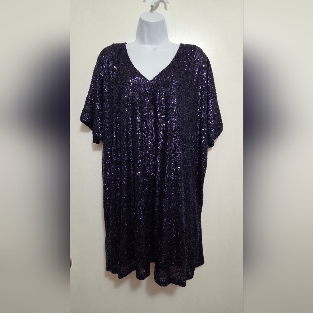 Sadie & Sage Sequin V-Neck Tunic Dress Large